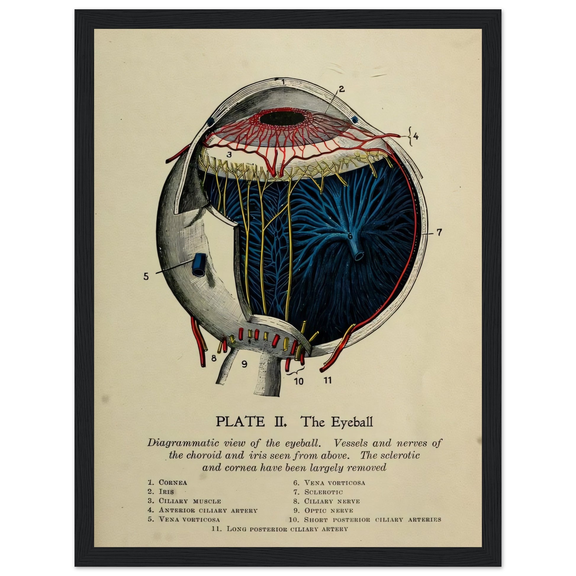 c19347fa-38c6-4cd8-b459-8e9311ed057f