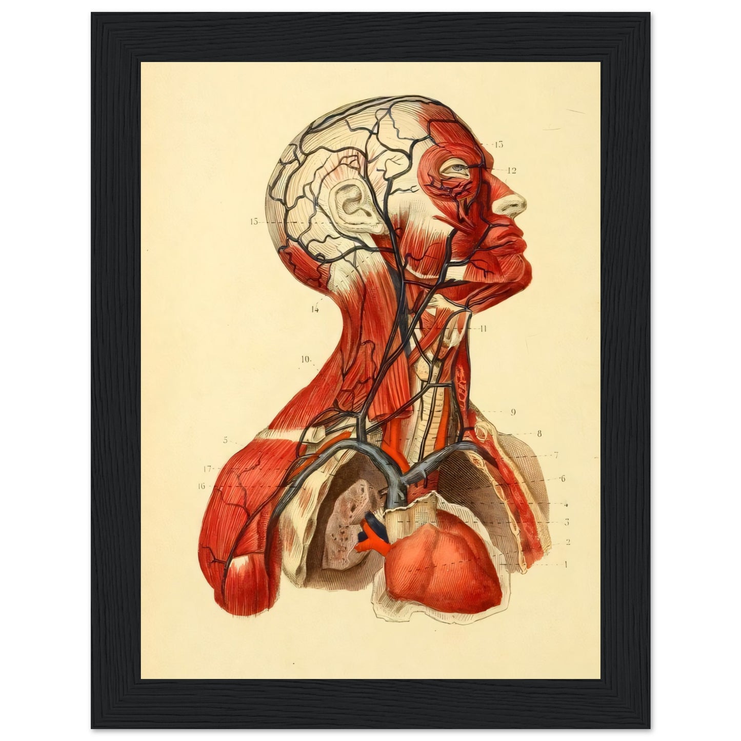 c6b2315a-aa27-4ac0-8167-31c5e8eb7870