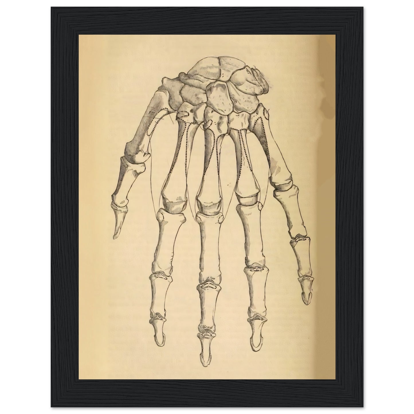 d016813a-2ac2-4dd2-a87f-ccd32de2f3fc