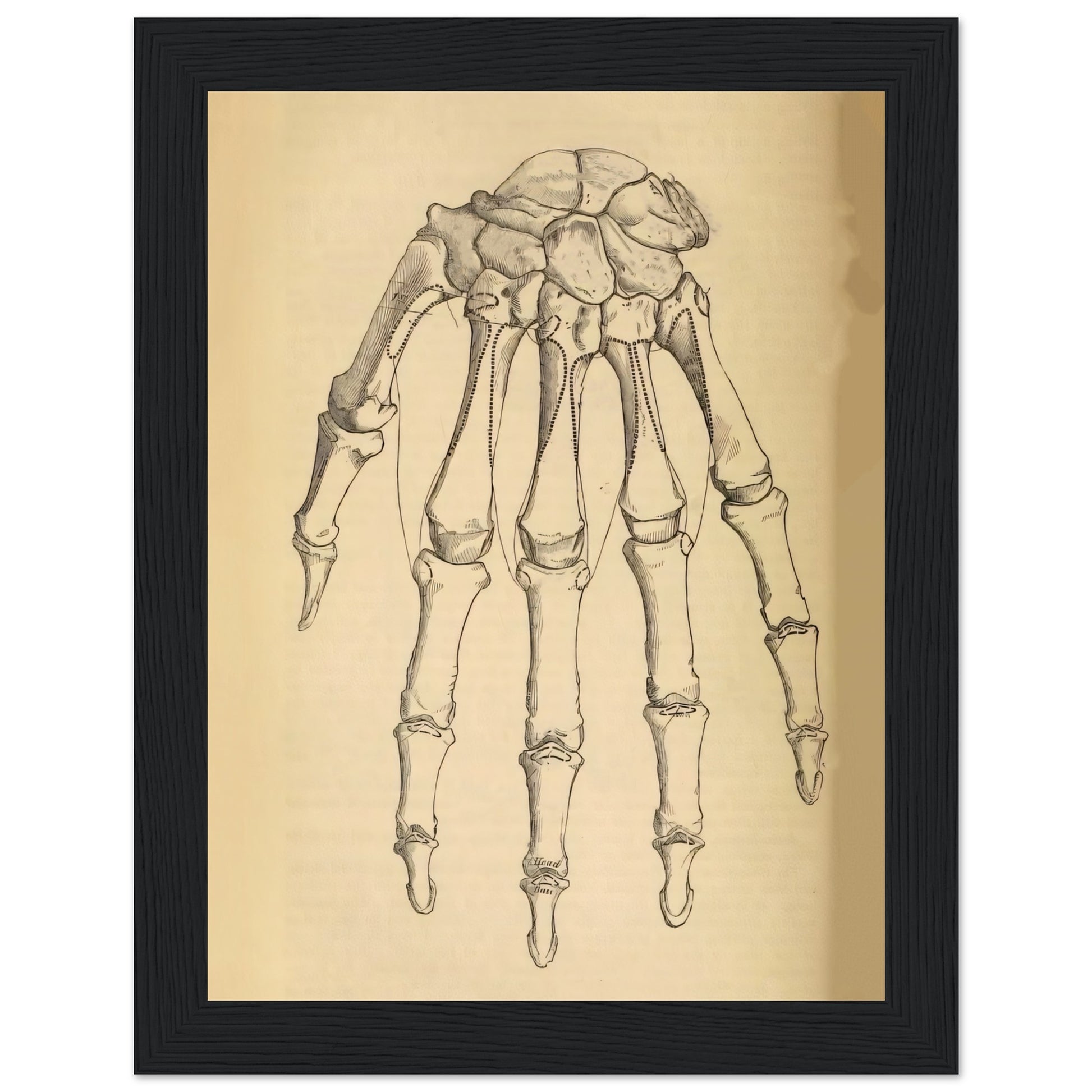 d016813a-2ac2-4dd2-a87f-ccd32de2f3fc