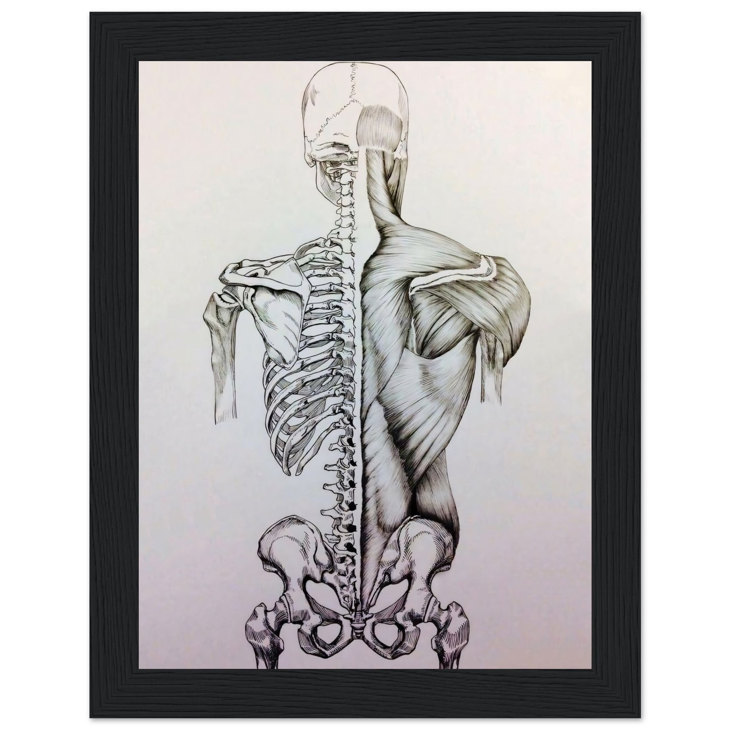 dd20a498-610a-40e5-a170-474c679f8707