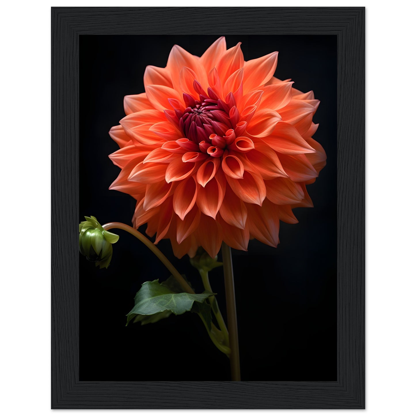 Dahlie Orange - Poster