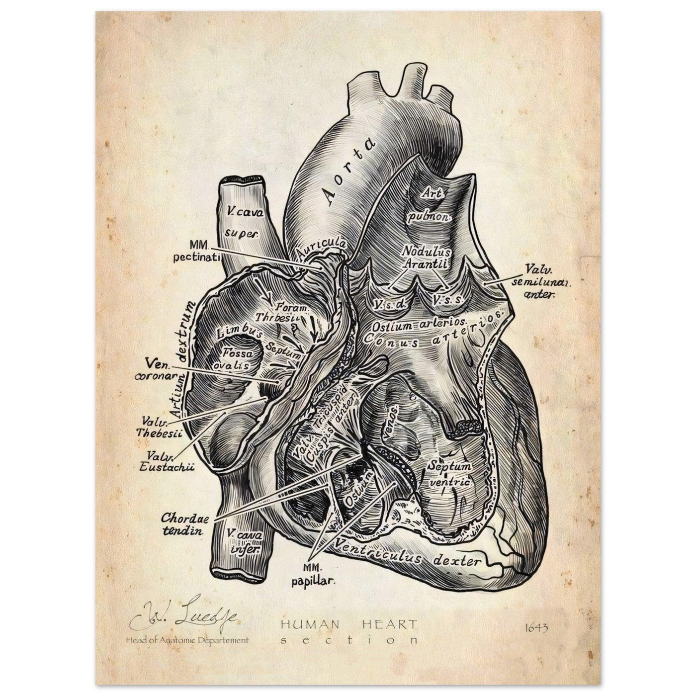 e176ca6c-0f4b-41ae-850d-e54dfe0f7205