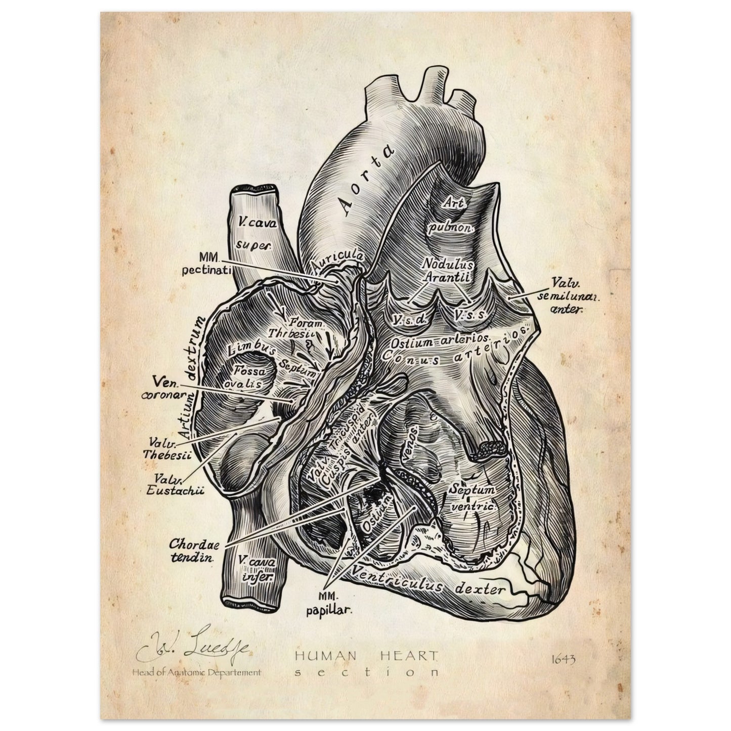 e176ca6c-0f4b-41ae-850d-e54dfe0f7205