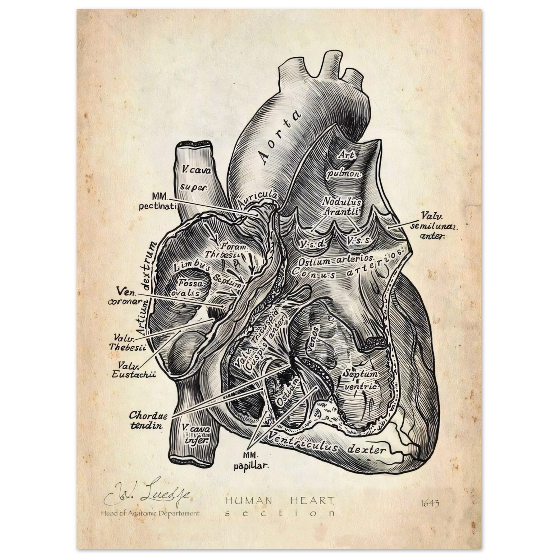 e176ca6c-0f4b-41ae-850d-e54dfe0f7205