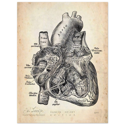 e176ca6c-0f4b-41ae-850d-e54dfe0f7205