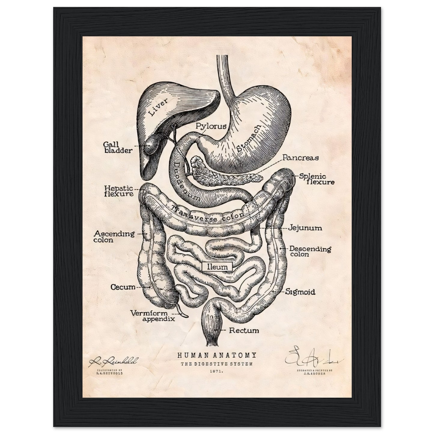 e7a7e127-e26b-4187-a630-d255eb716b6b