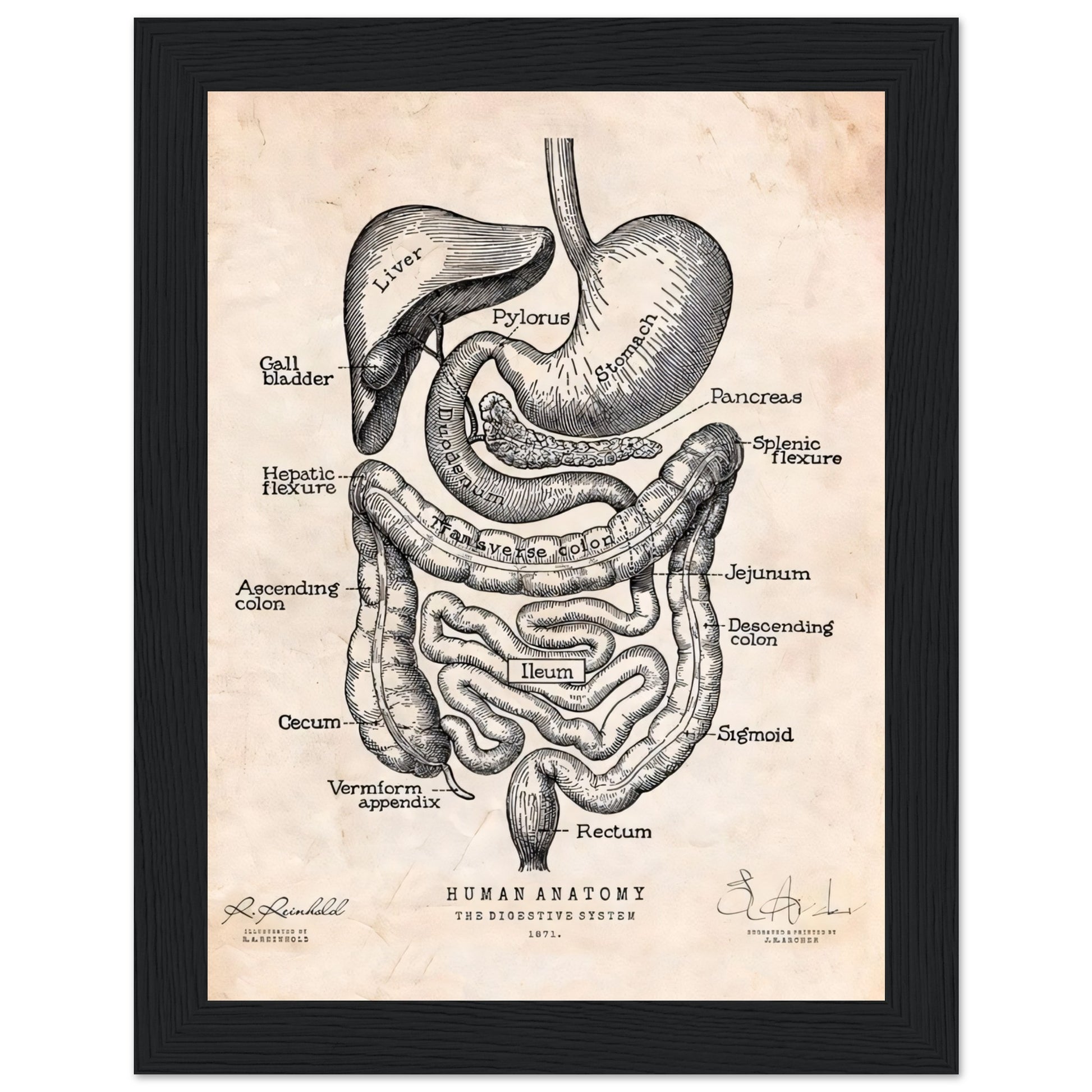 e7a7e127-e26b-4187-a630-d255eb716b6b