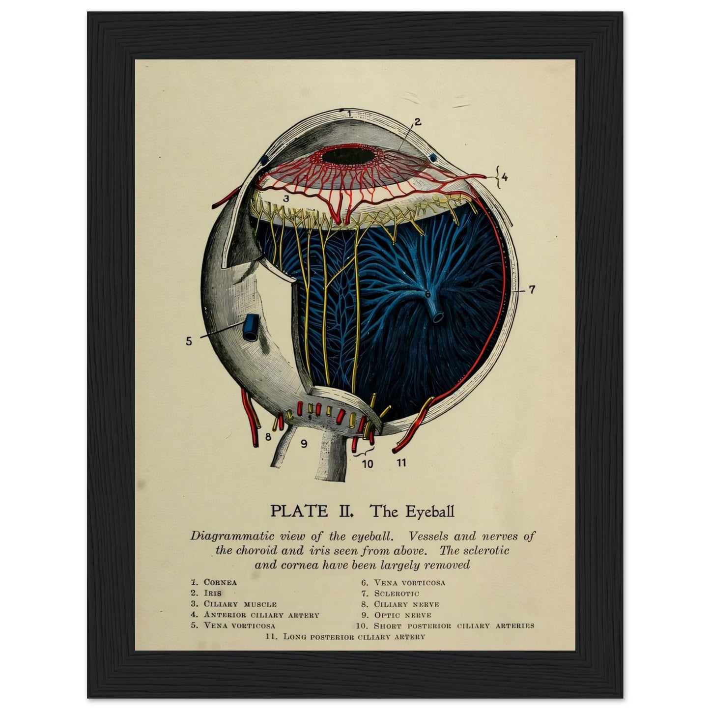 ebf2eb56-3961-44fc-958e-141b1a09afc3