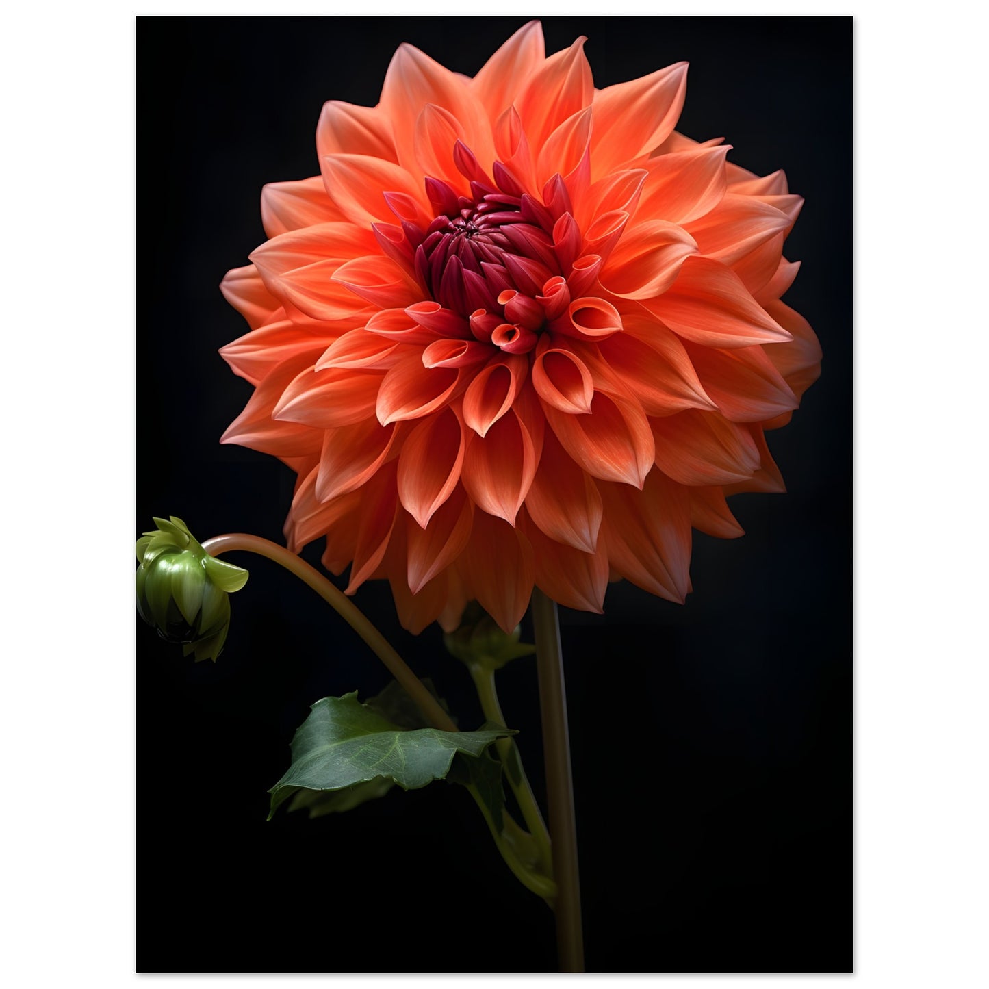 Dahlie Orange - Poster