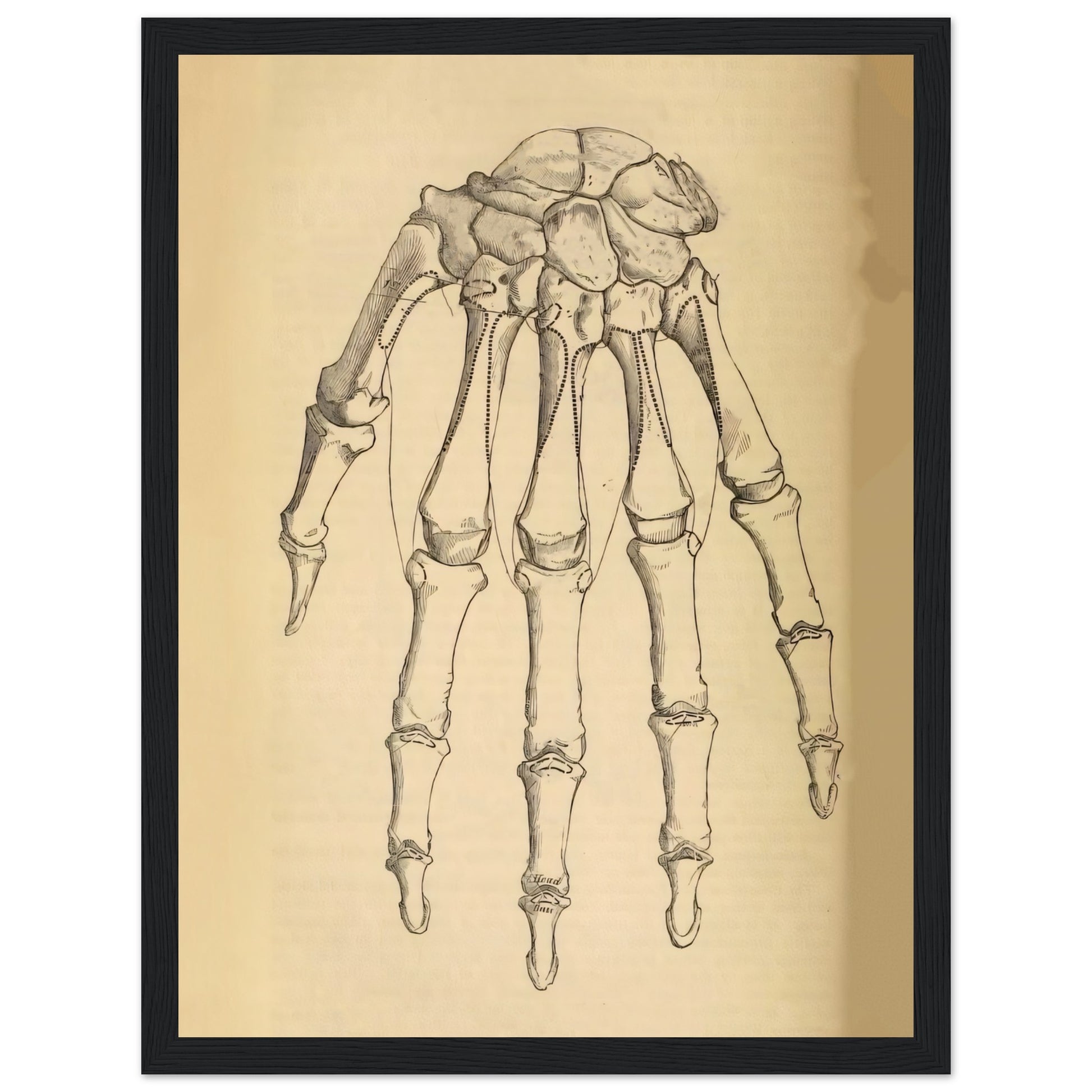 f1f21ce4-b1fb-4247-8b17-ad17dd632307