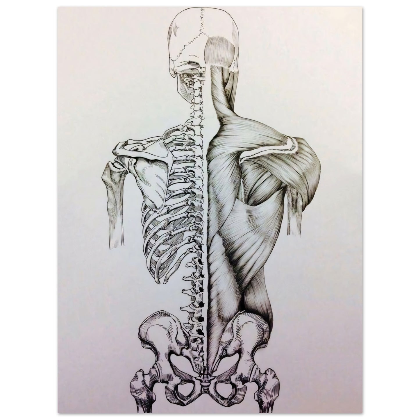 f764ab07-e02e-420e-b522-5dd8841bd186