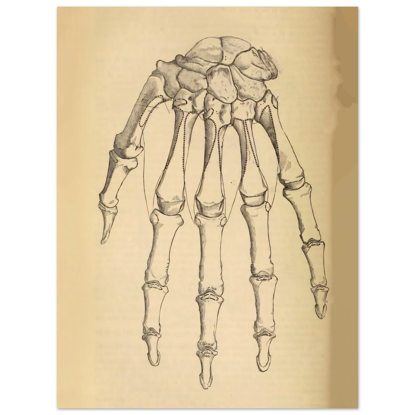 f9e6a5d6-c66a-4779-a17d-fab2b660cc9f