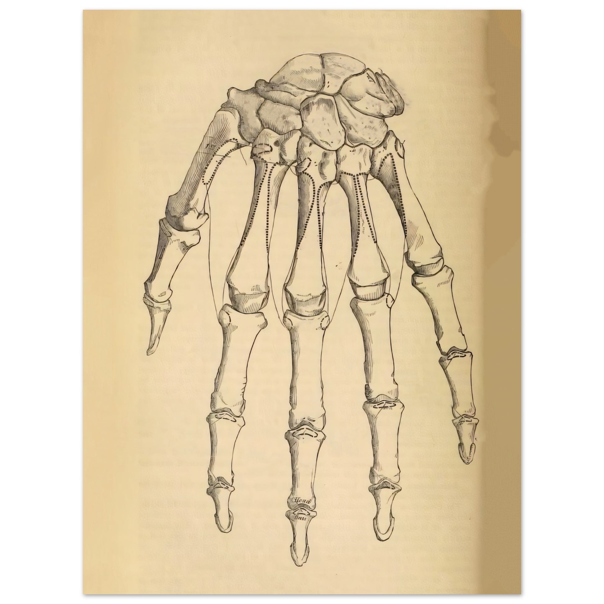 f9e6a5d6-c66a-4779-a17d-fab2b660cc9f