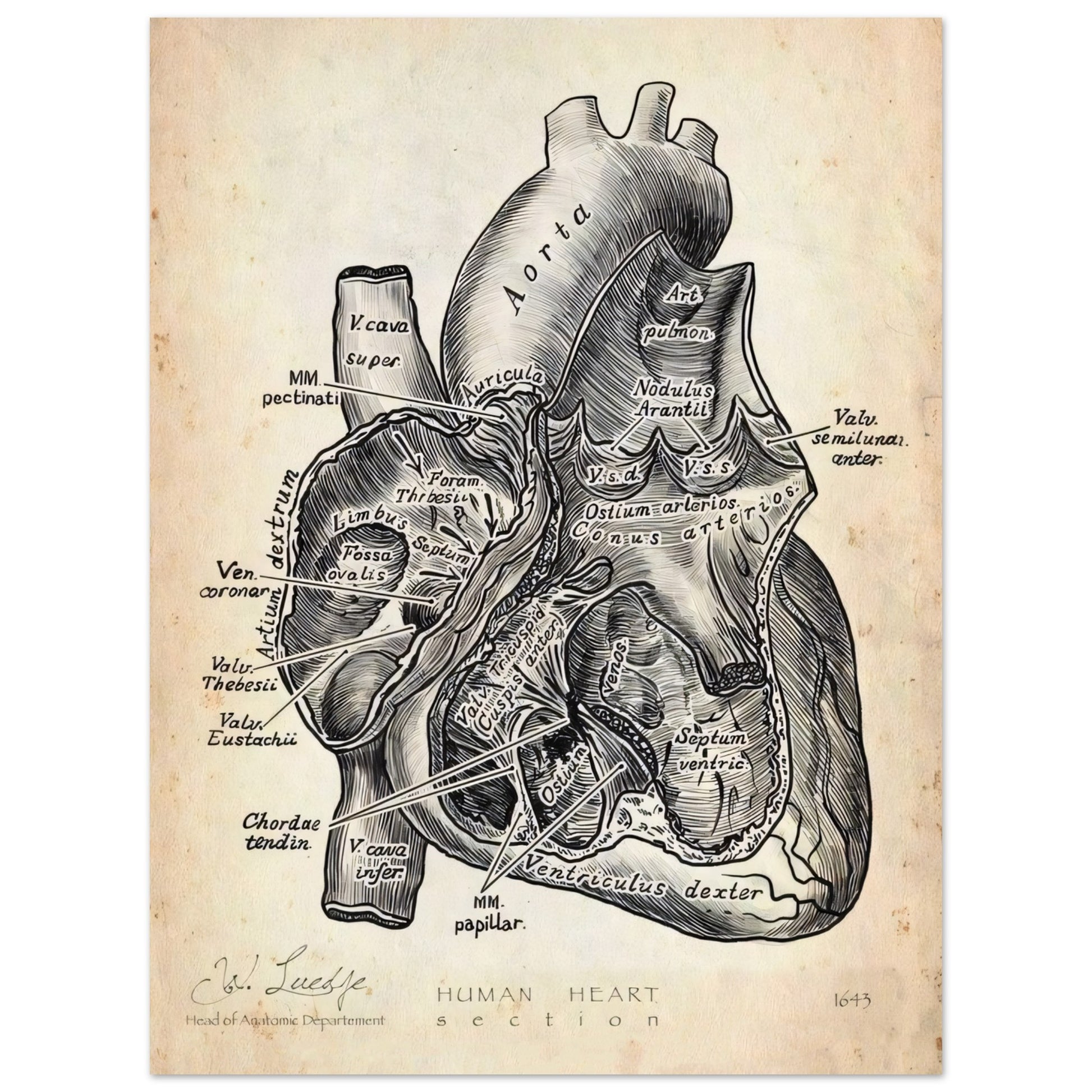 fa03c8bd-0019-4949-ab2e-1da85e73840e